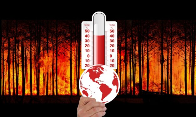 Jaké alergologické dopady mají klimatické změny?