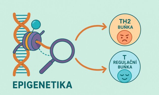 Epigenetika a&nbsp;alergenová imunoterapie: molekulární klíč k úspěšné léčbě?