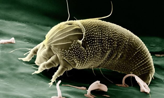 Možnosti komponentové diagnostiky 